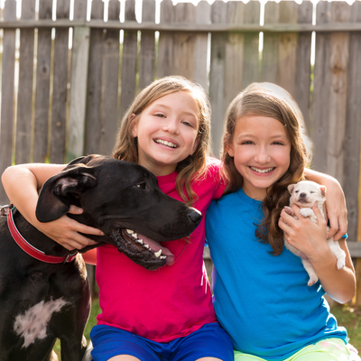 The Benefits Of Pet Ownership For Children With Special Needs